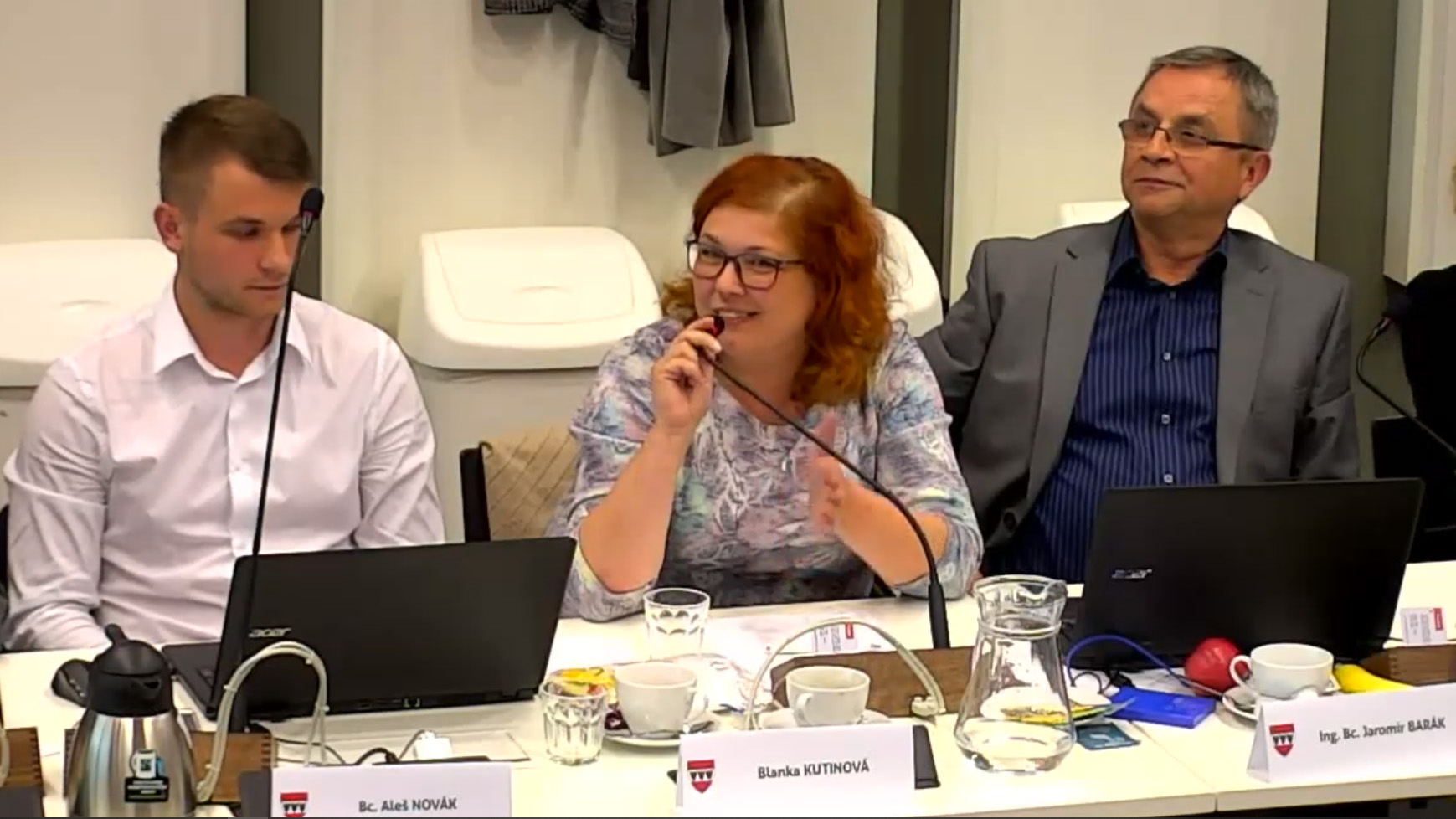 Třebíč zastupitelstvo odměny předsedů komisí