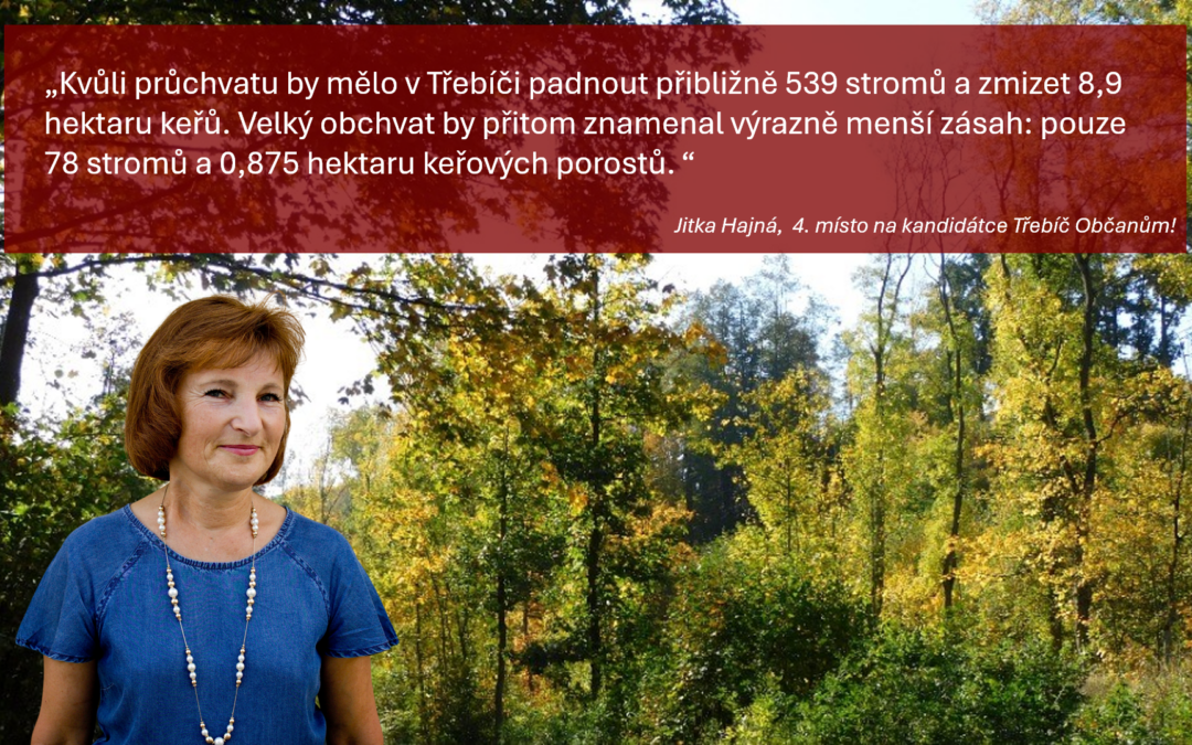 Kvůli průchvatu by měly padnout stovky stromů. Třebíčská radnice by obětovala tři městská údolí